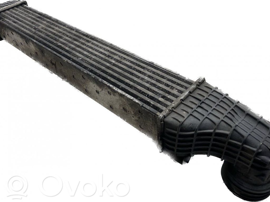 Intercooler radiator   A2115002602