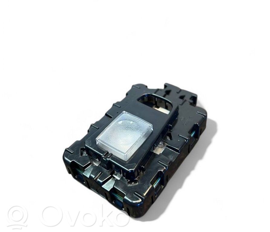 Ram 1500 Rear door interior light 
