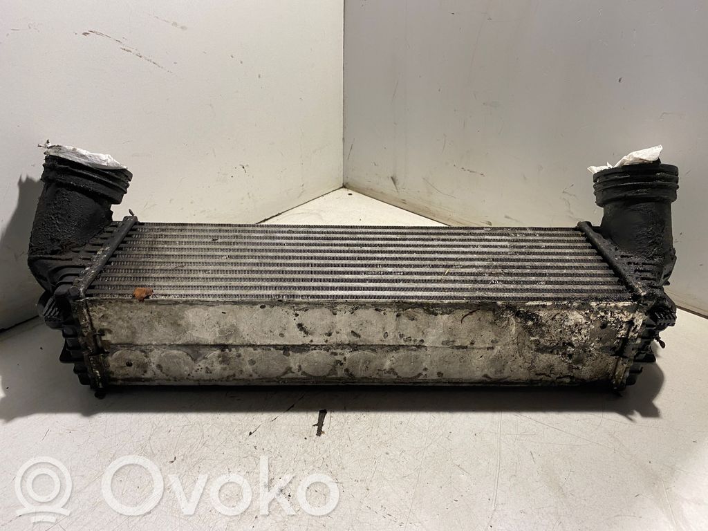 Interkūlerio radiatorius   7533475,P4130001,20070512193908