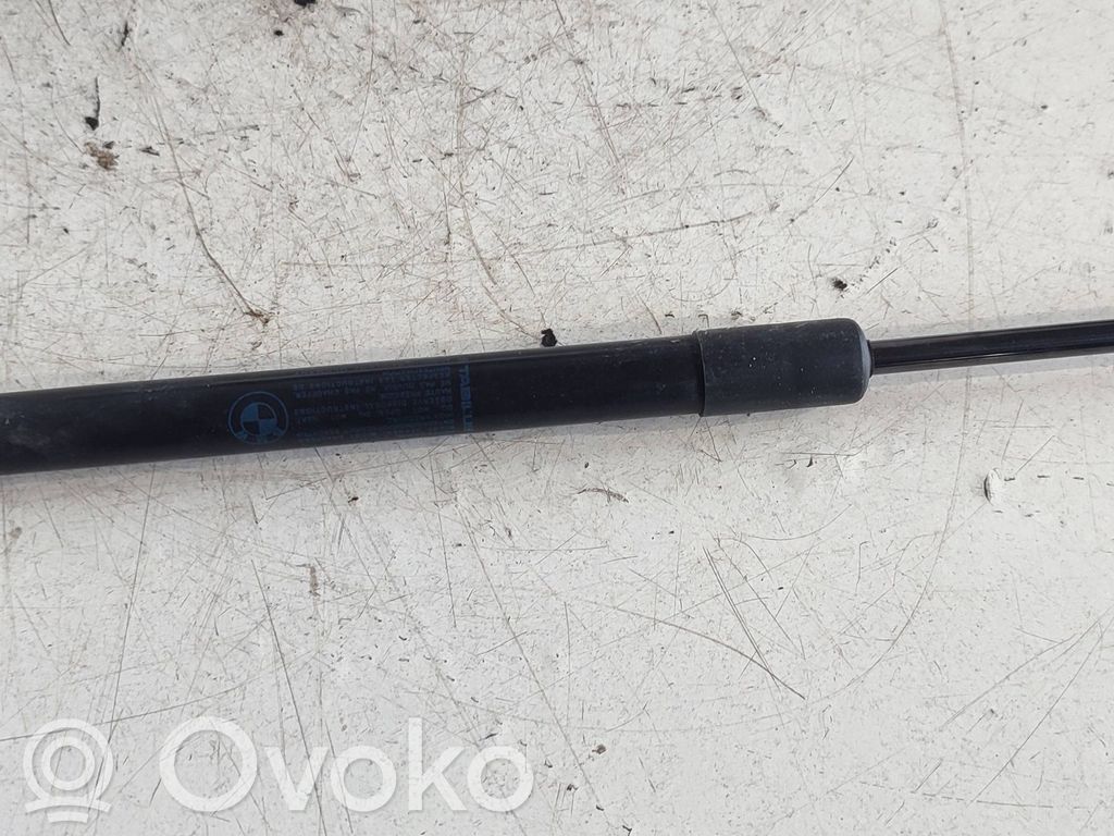 Tailgate/trunk strut/damper   7129194