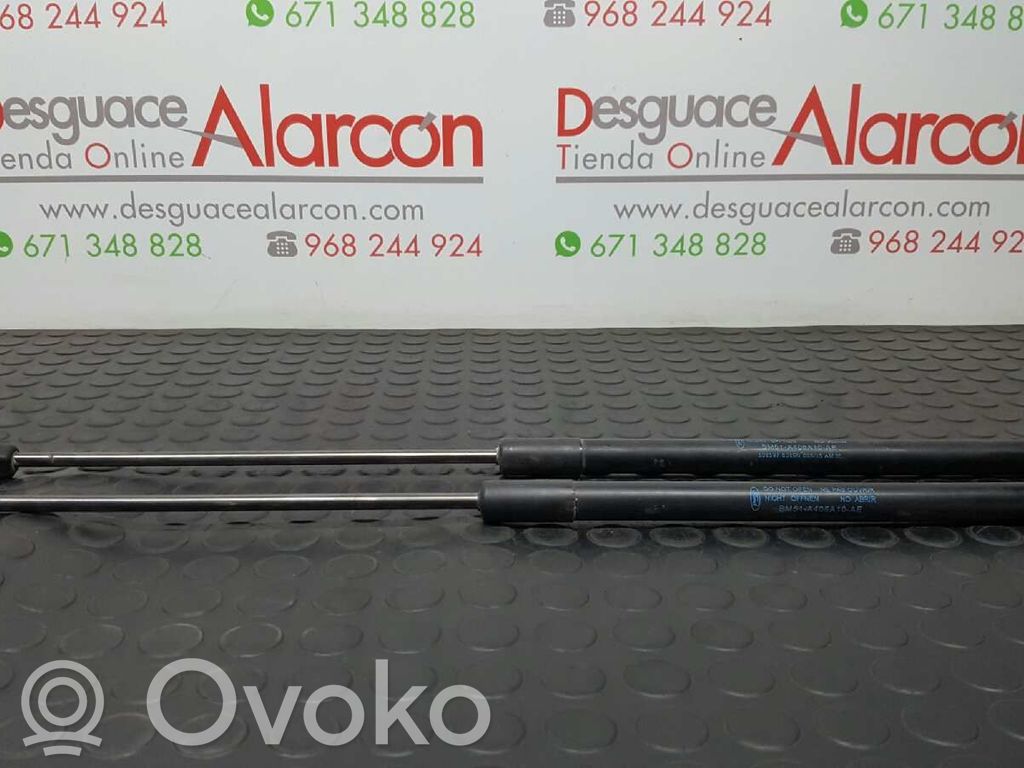 Ford Focus Tailgate/trunk strut/damper 