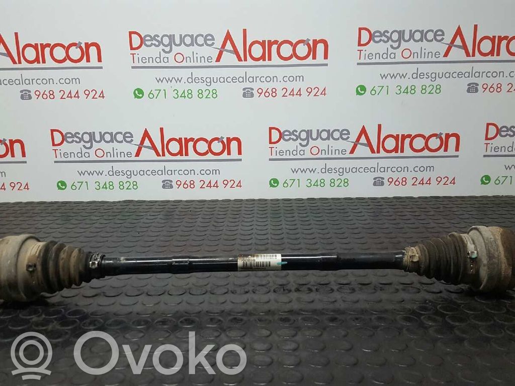 Planetară spate   36000930,T080204,P30735565