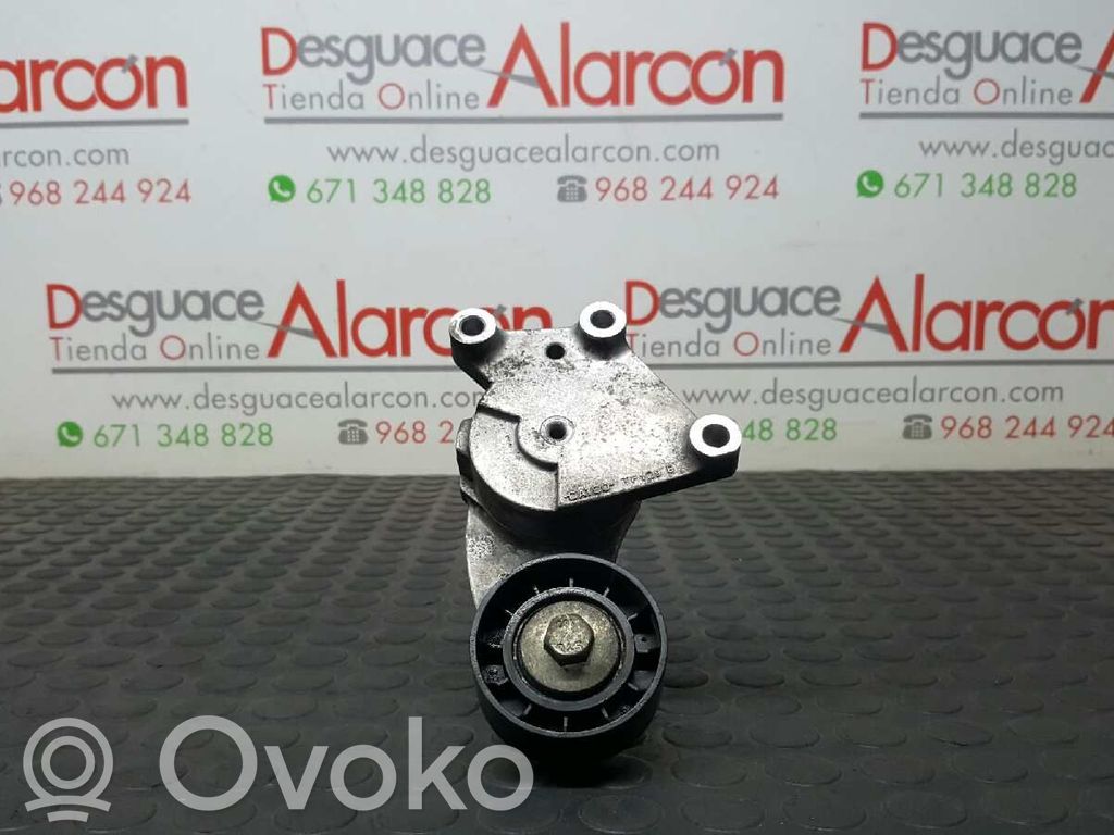 Diržo įtempėjas   1611425680,846143,5751H6