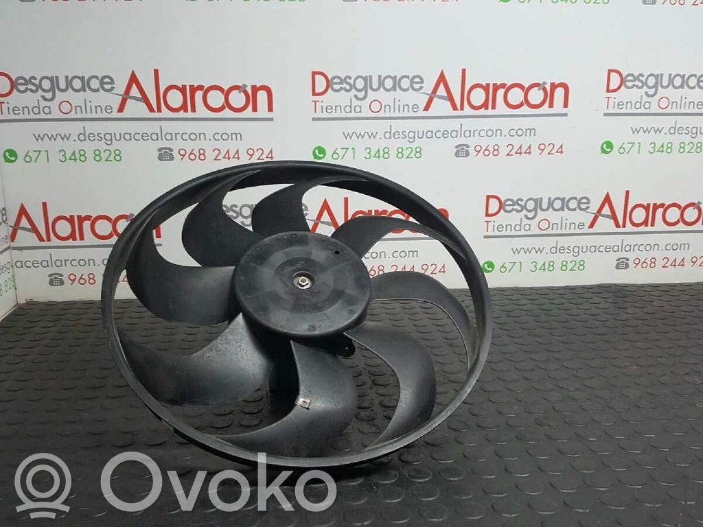 Elektrolüfter   214816703R,SR114510,5000991