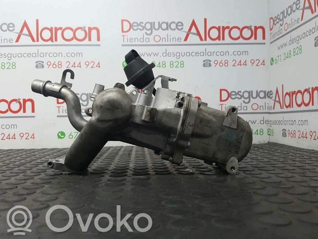 Peugeot Expert Răcitor supapă EGR 