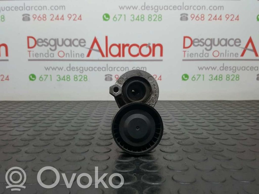 Tendicinghia generatore/alternatore   117501113R