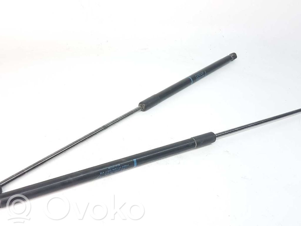 Renault Megane III Ammortizzatore portellone posteriore/bagagliaio 