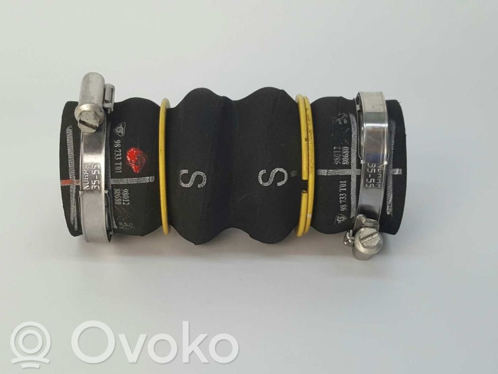 Citroen C3 Kita išorės detalė 