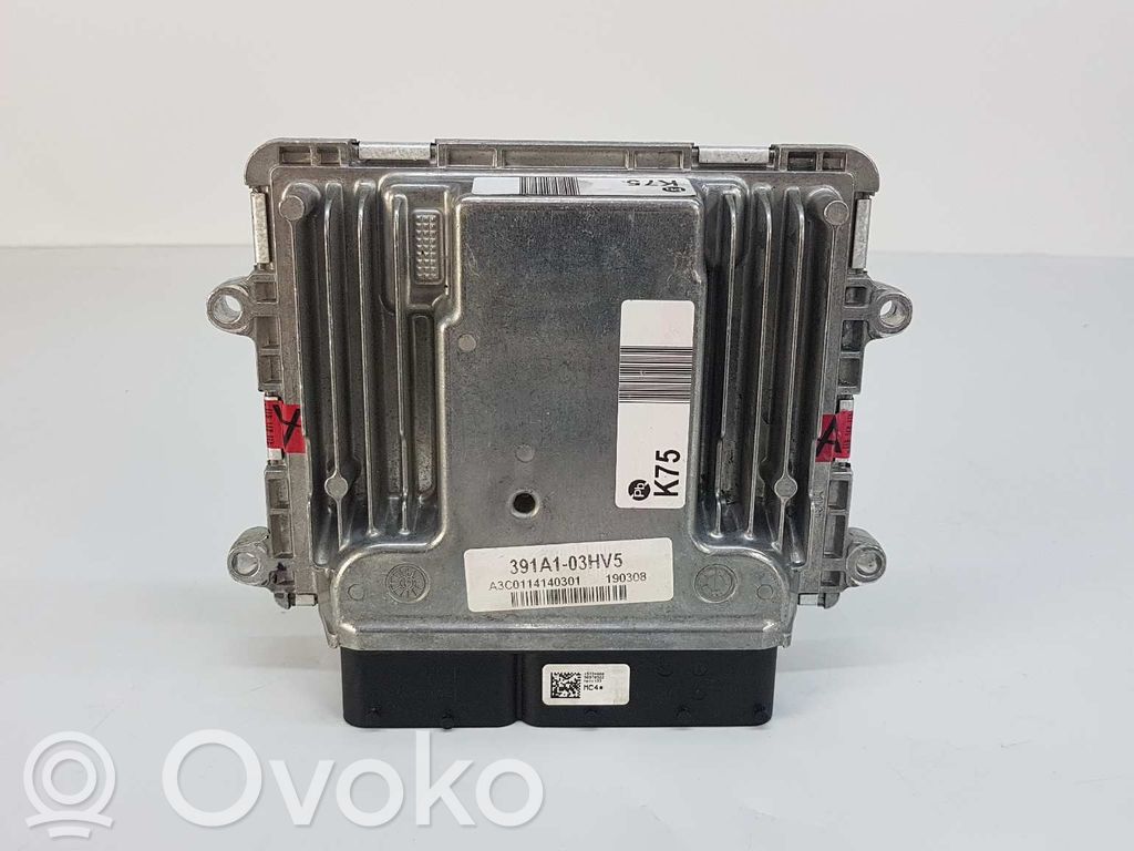 Hyundai Ioniq Engine control unit/module 