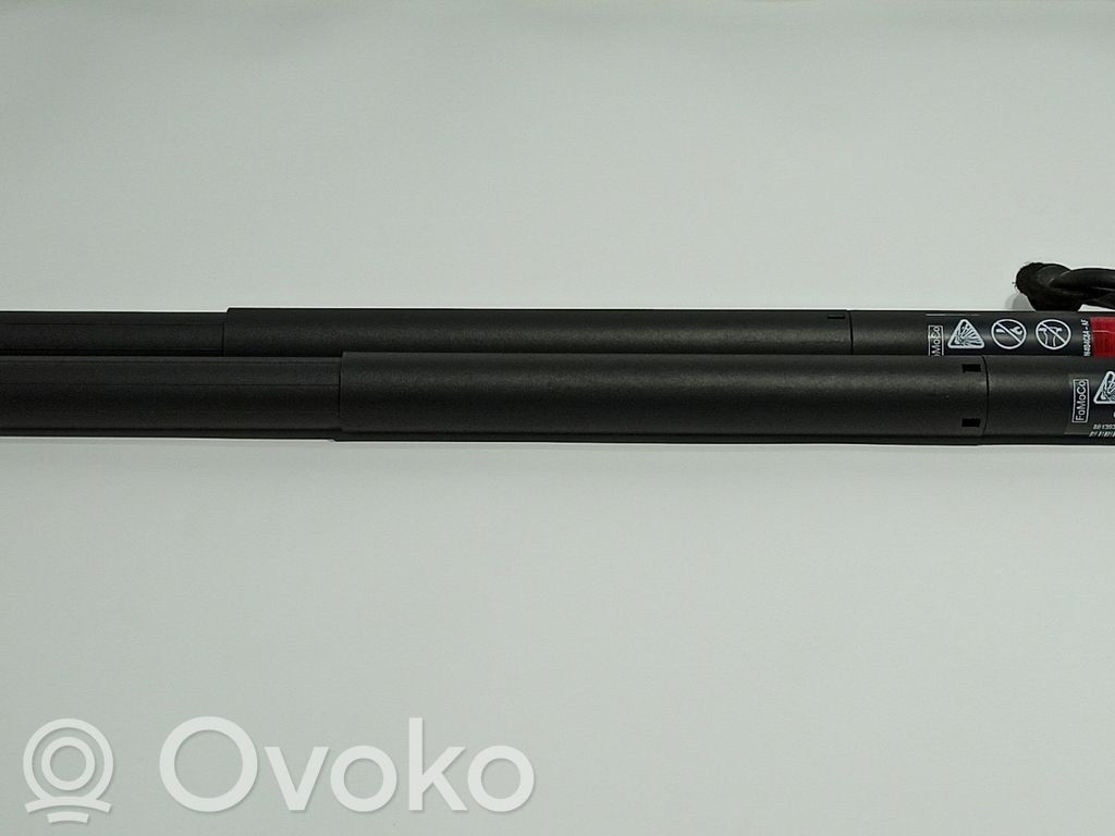 Ford Focus Tailgate/trunk strut/damper 