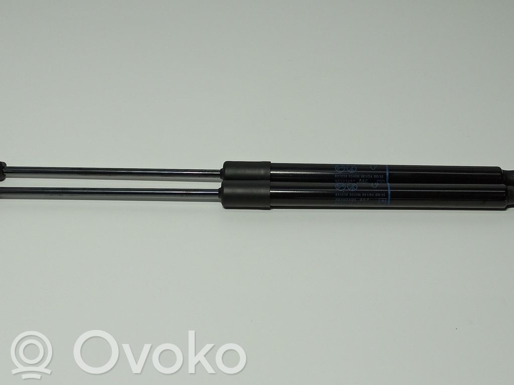 Citroen C3 Ammortizzatore portellone posteriore/bagagliaio