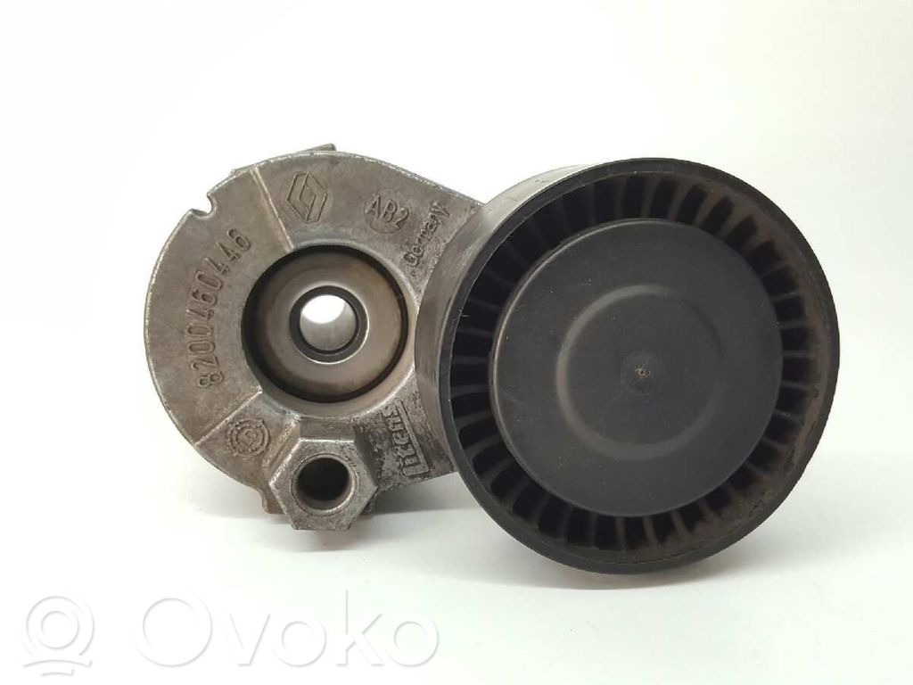 Renault Kangoo I Tendicinghia generatore/alternatore 