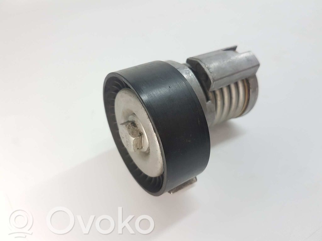 Seat Ibiza III (6L) Întinzător curea generator/alternator 