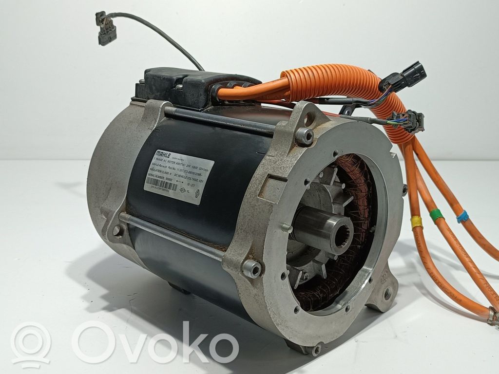 Variklis   290101239R