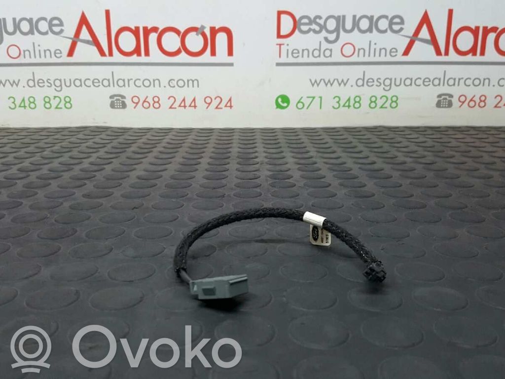 Ford Focus Autres dispositifs 