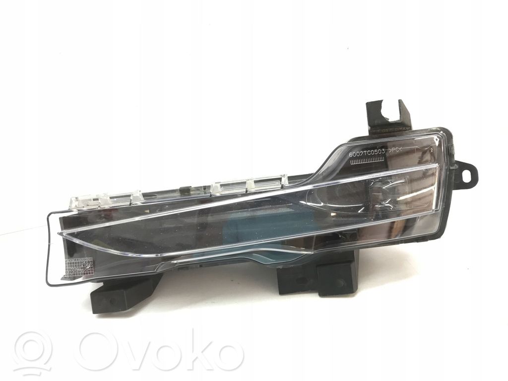 Tesla Model 3 LED dienas gaisma 