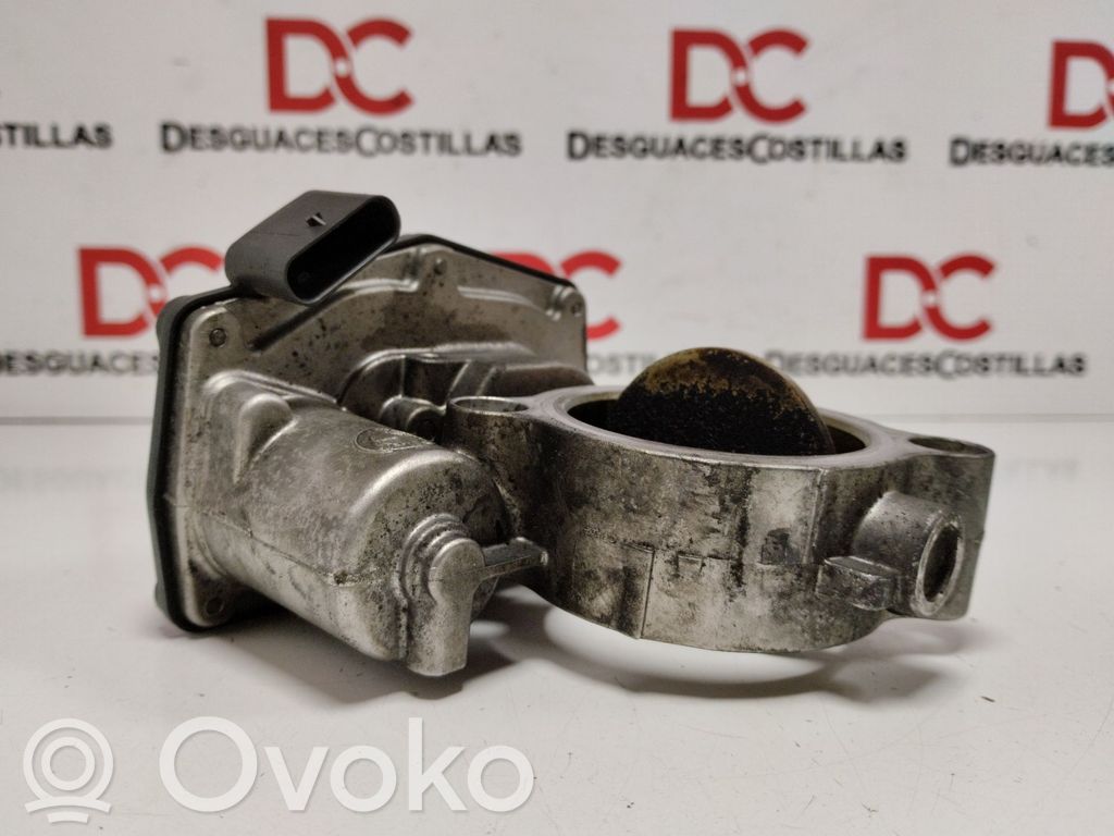 Drosele   1354781075202