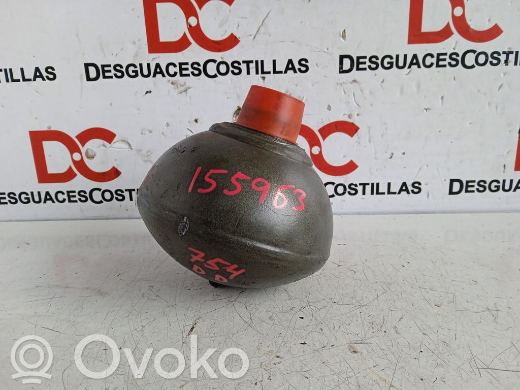 Citroen C5 Gaisa tilpne 