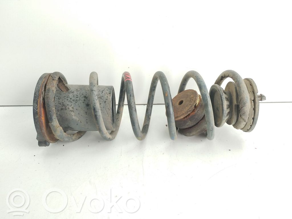 Front coil spring   5102AQ