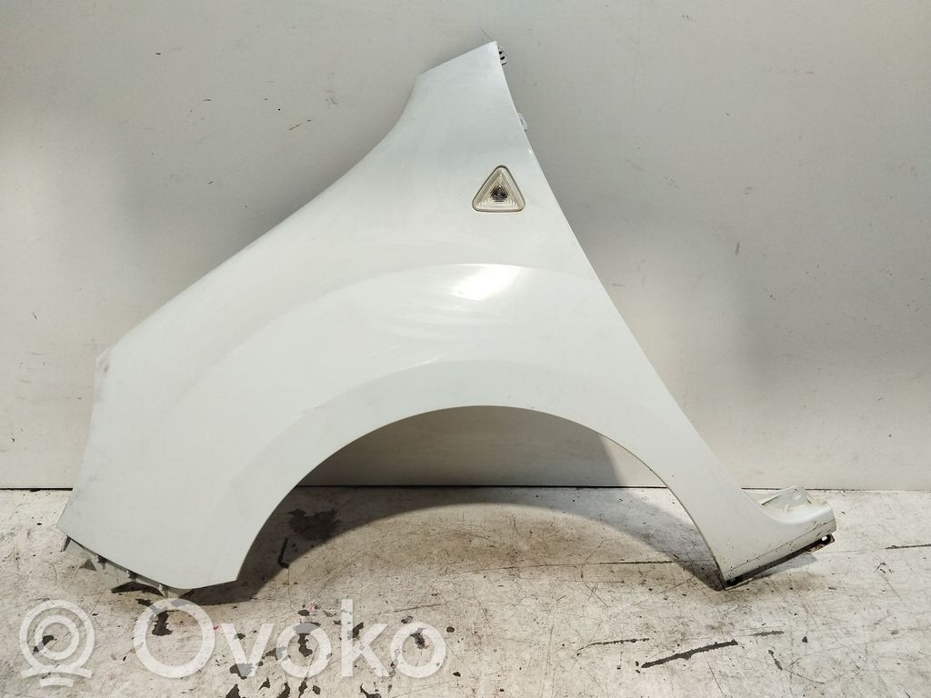 Renault Kangoo II Guardabarro 