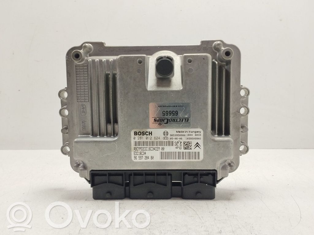 Citroen C5 Engine control unit/module 