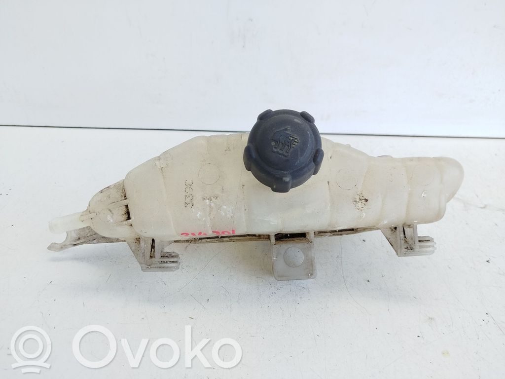 Renault Clio III Kuro išsiplėtimo bakelis 