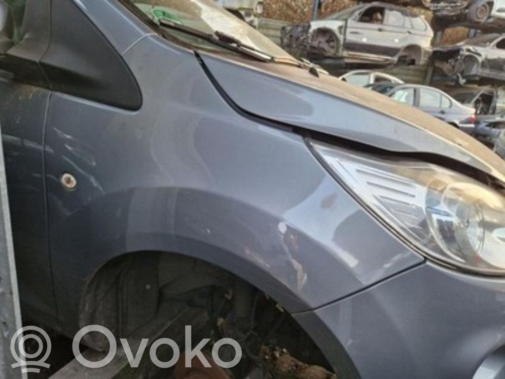 Ford Ka Fender 