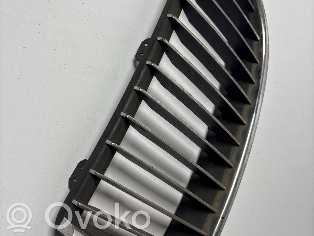 Front grill   7120009