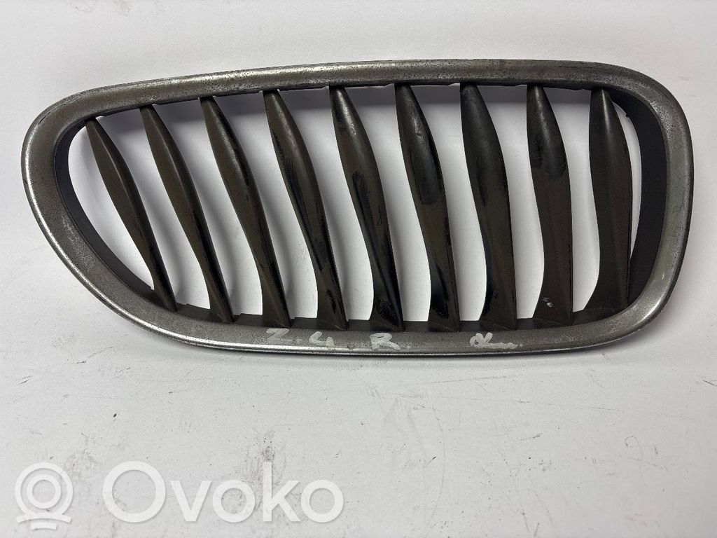 BMW Z4 E85 E86 Rejilla delantera 