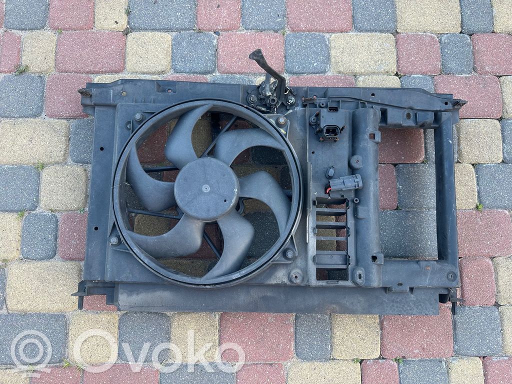 Peugeot 308 Radiatorių panelė 