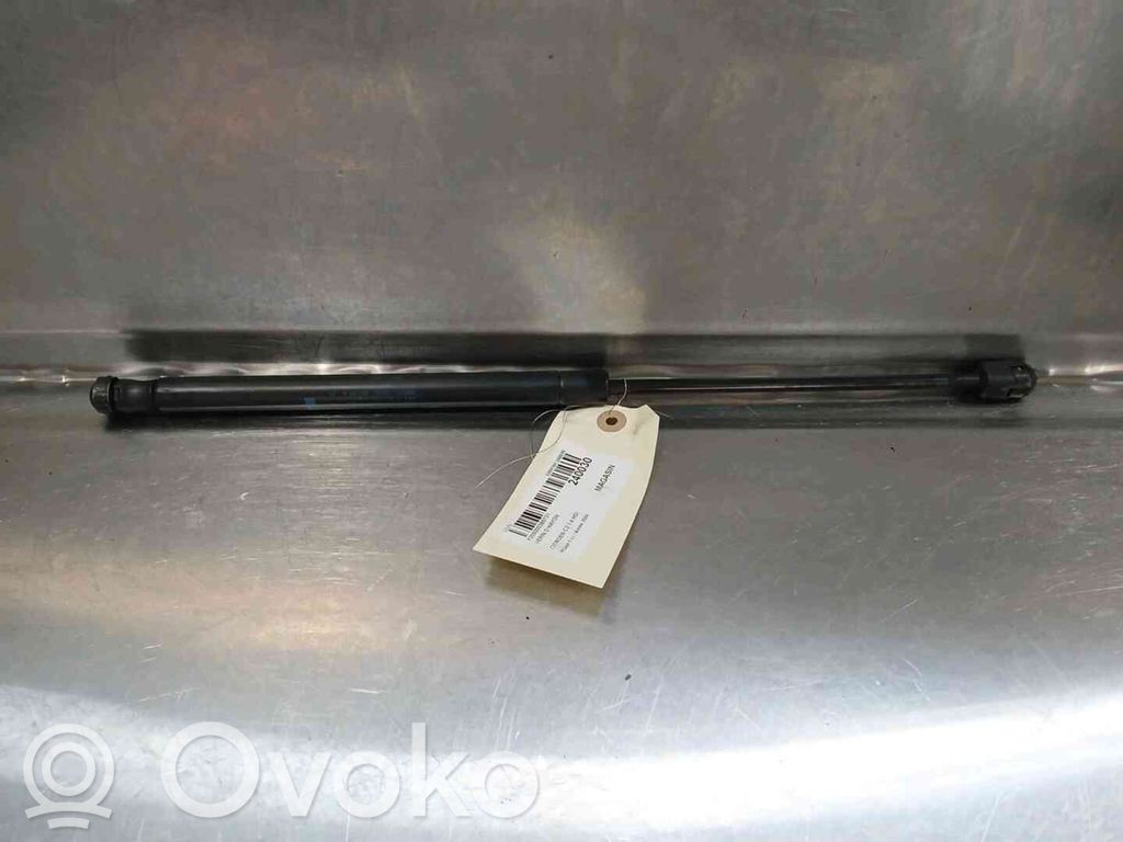 Citroen C2 Tailgate strut 
