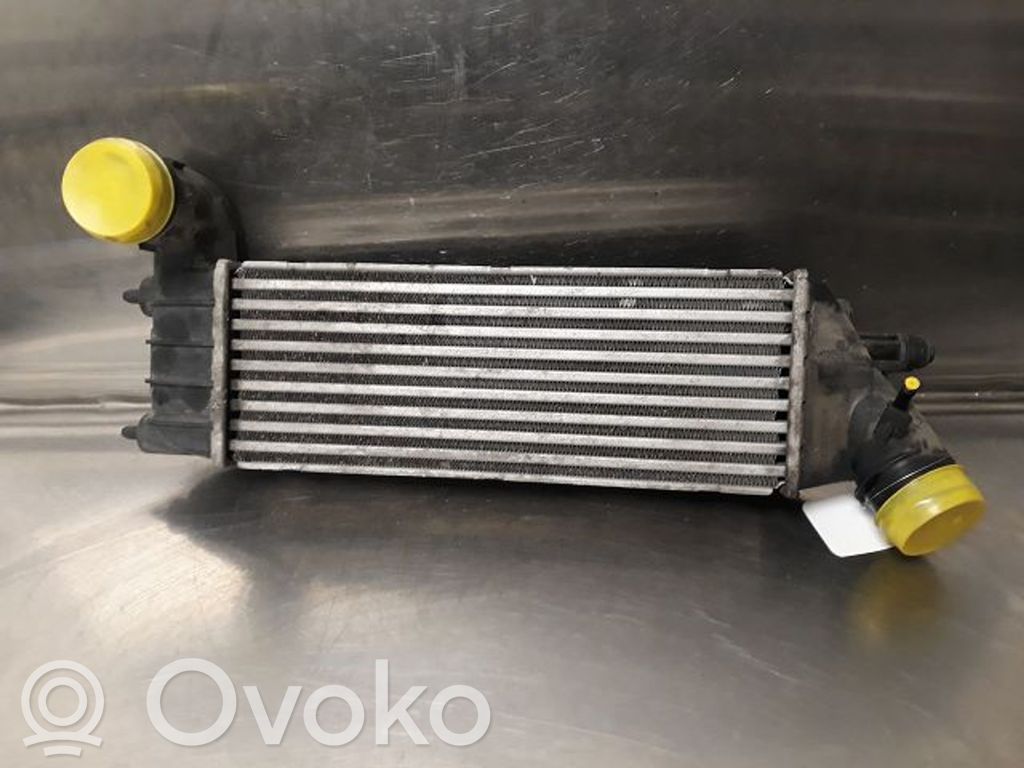 Citroen C8 Intercooler radiator 