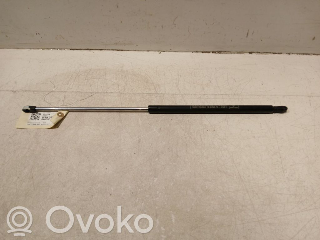 Peugeot 205 Tailgate strut 