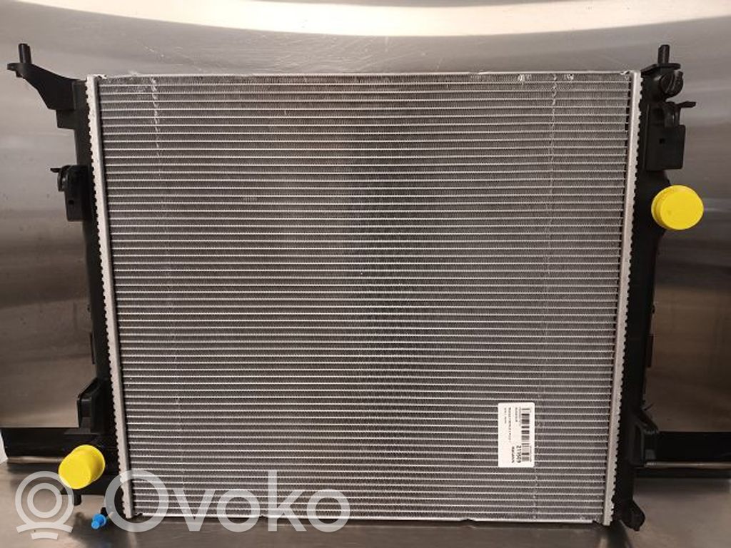 Renault Espace -  Grand espace V Aušinimo skysčio radiatorius 
