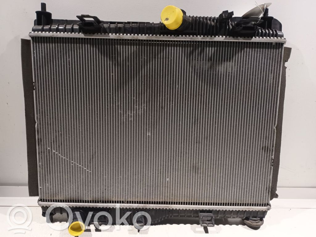 Ford Fiesta Coolant radiator 