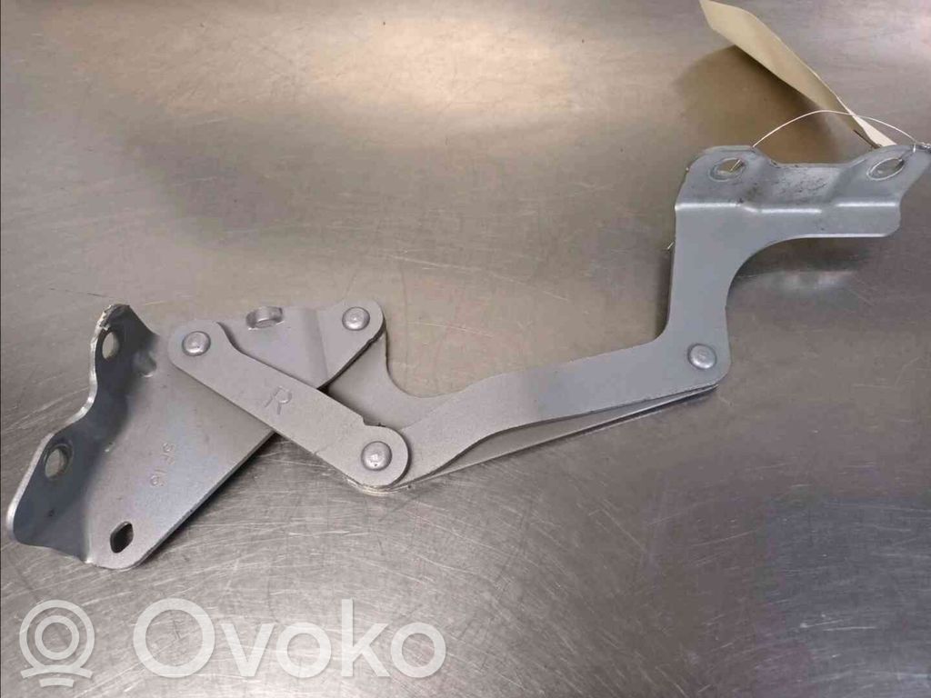 Peugeot iOn Dzinēja pārsega eņģe (-es) 