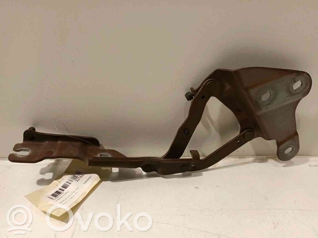 BMW X1 E84 Dzinēja pārsega eņģe (-es) 