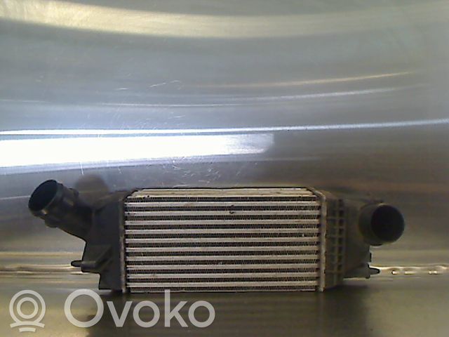 Citroen C5 Interkūlerio radiatorius 