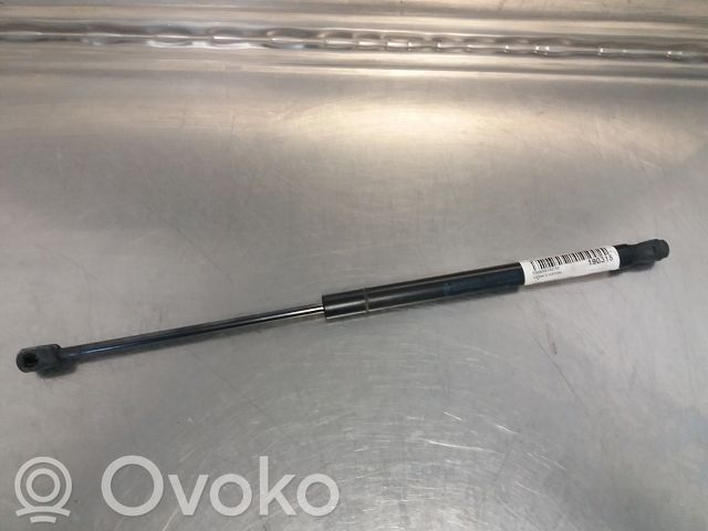 Tailgate strut   1684312