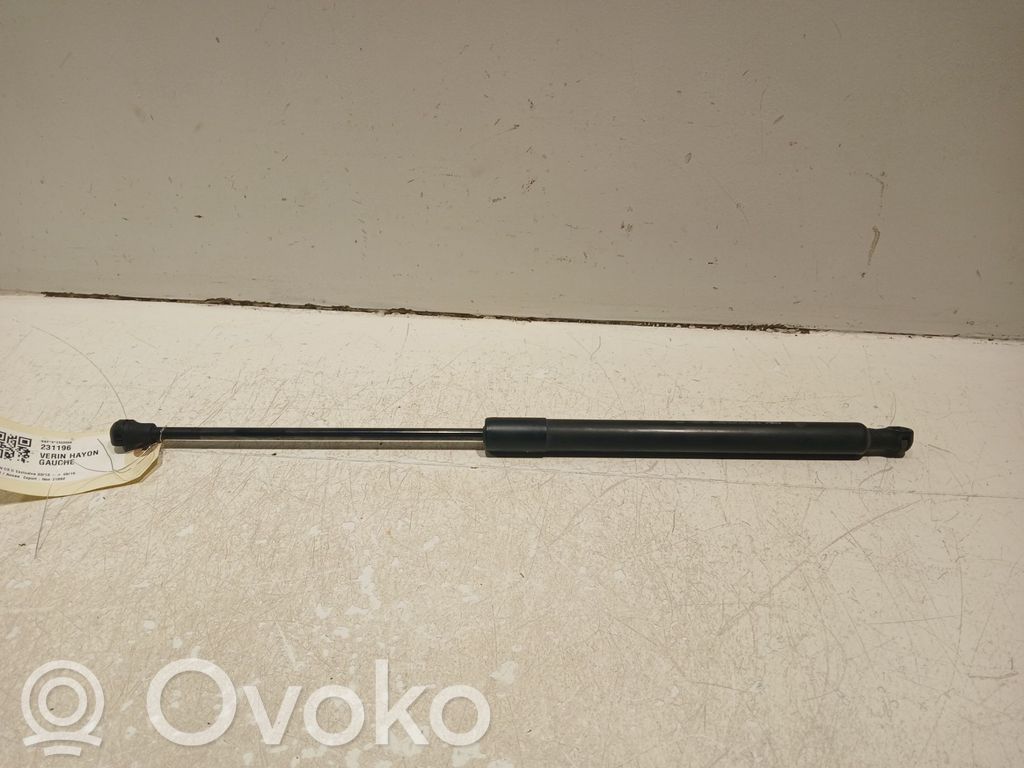 Citroen C3 Tailgate strut 