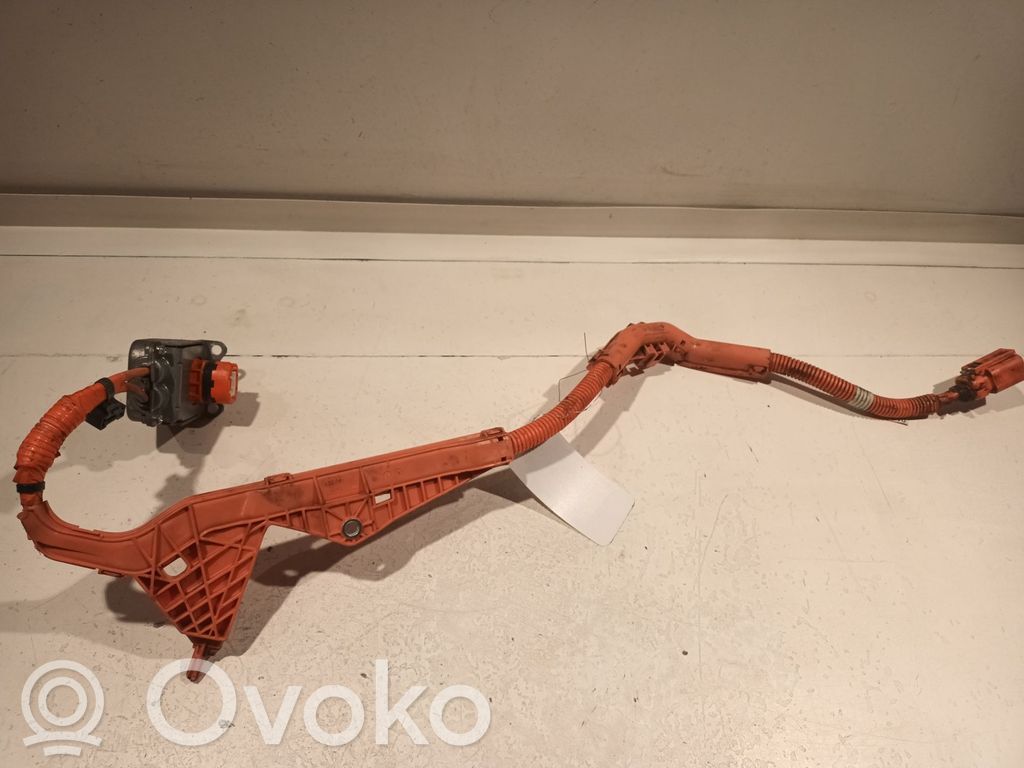Pluskaapeli (akku)   821H276010