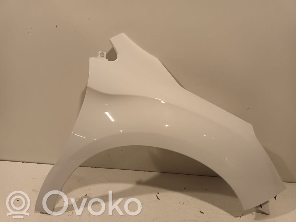 DS Automobiles 4 Fender 