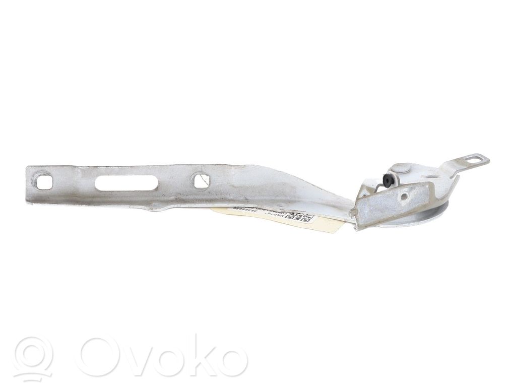 Peugeot Expert Dzinēja pārsega eņģe (-es) 