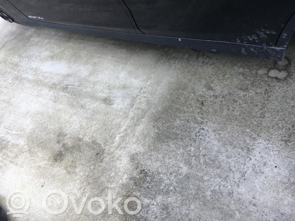 BMW X1 E84 Slieksnis 