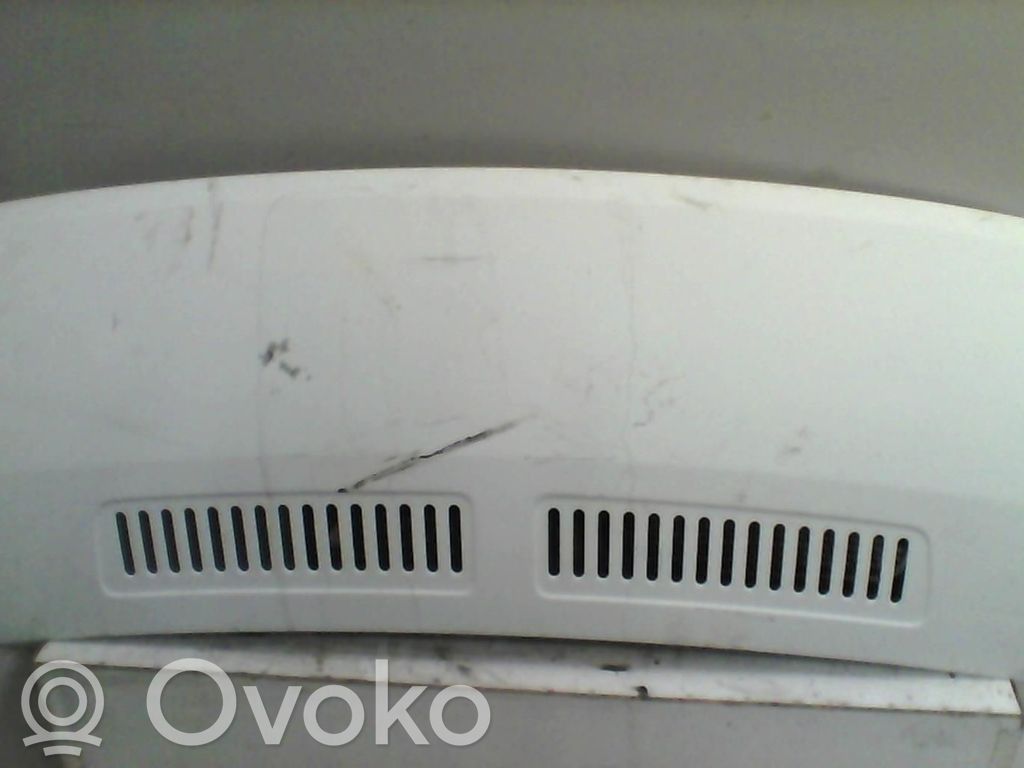 Citroen Jumper Engine bonnet/hood 