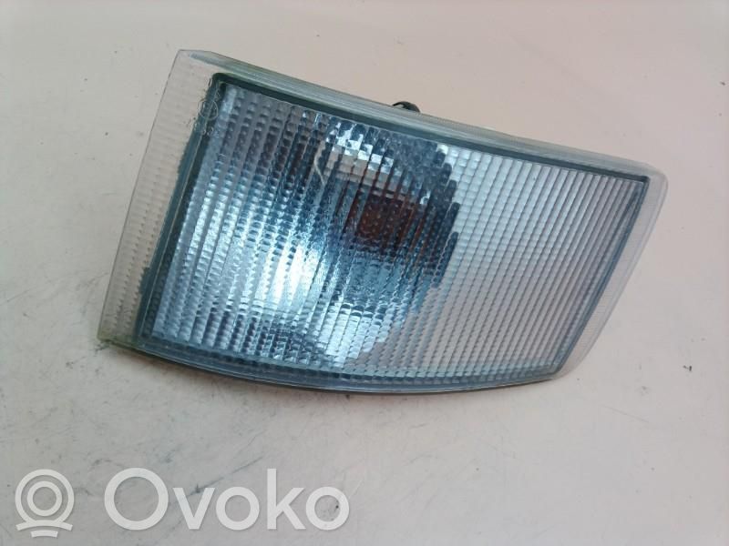 Fiat Ducato Seitenblinker 