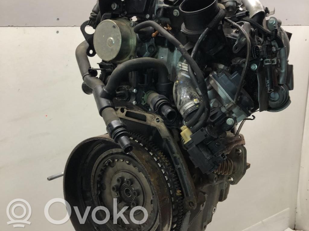 Motor