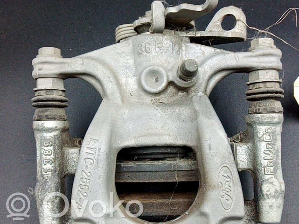 Takajarrusatula   2394166