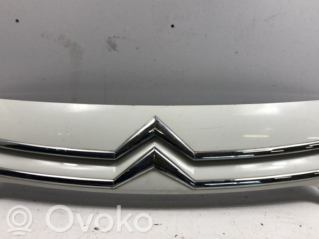 Citroen Jumpy Front grill 