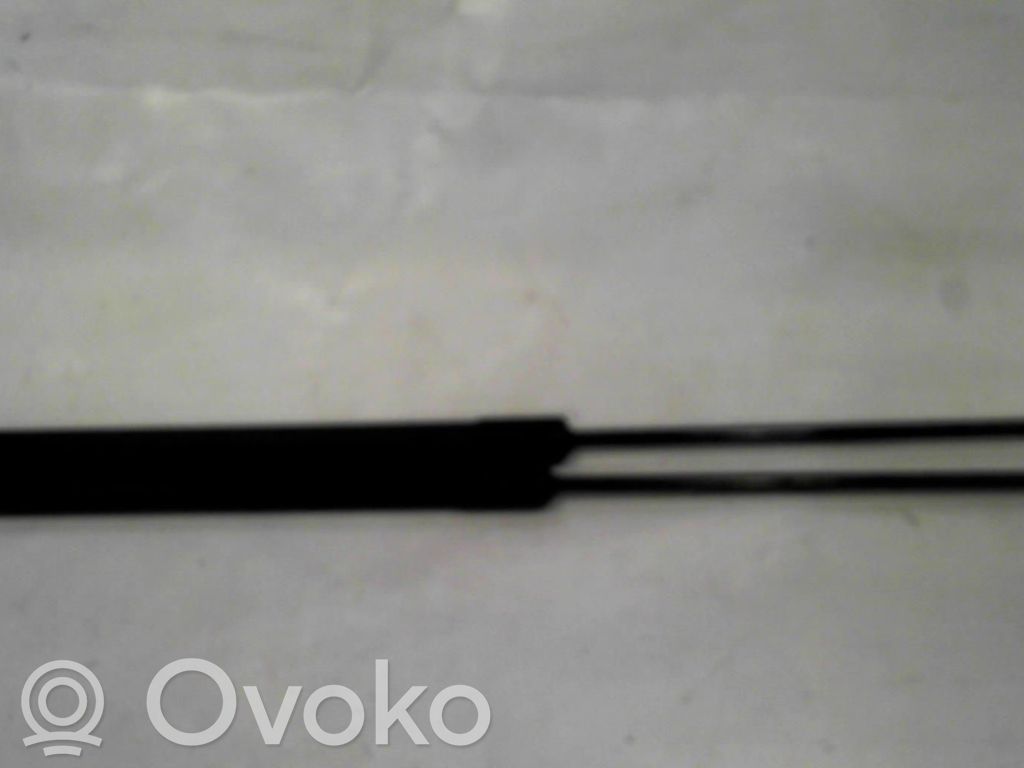 Ford Focus Tailgate/trunk strut/damper 